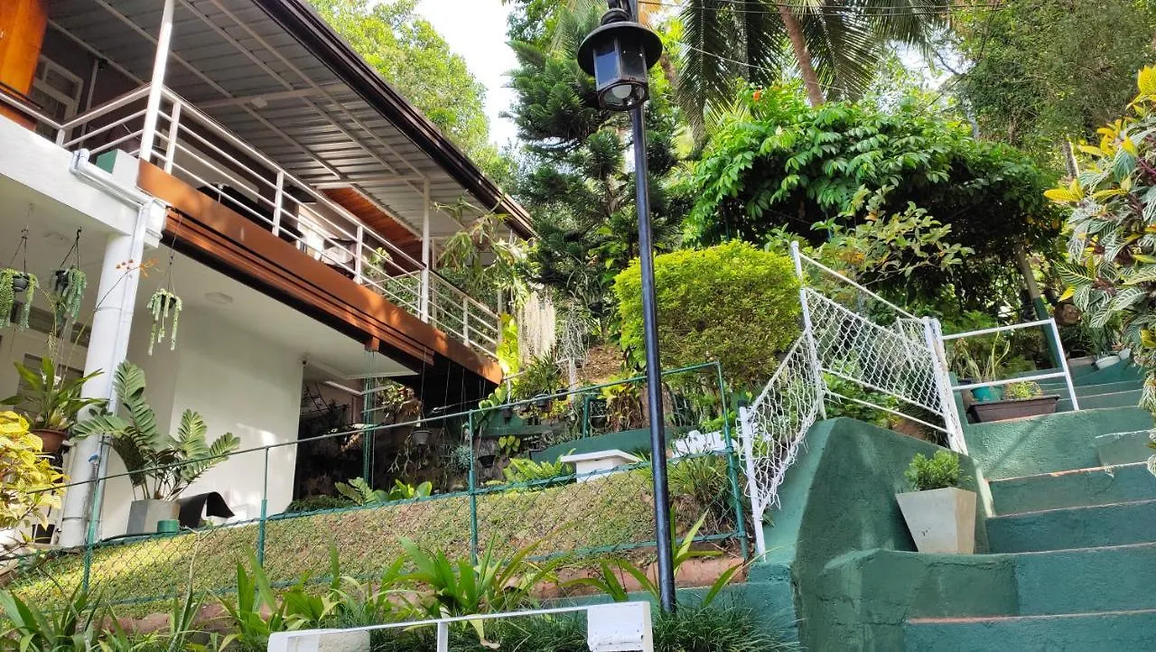 Marvel Hills Kandy