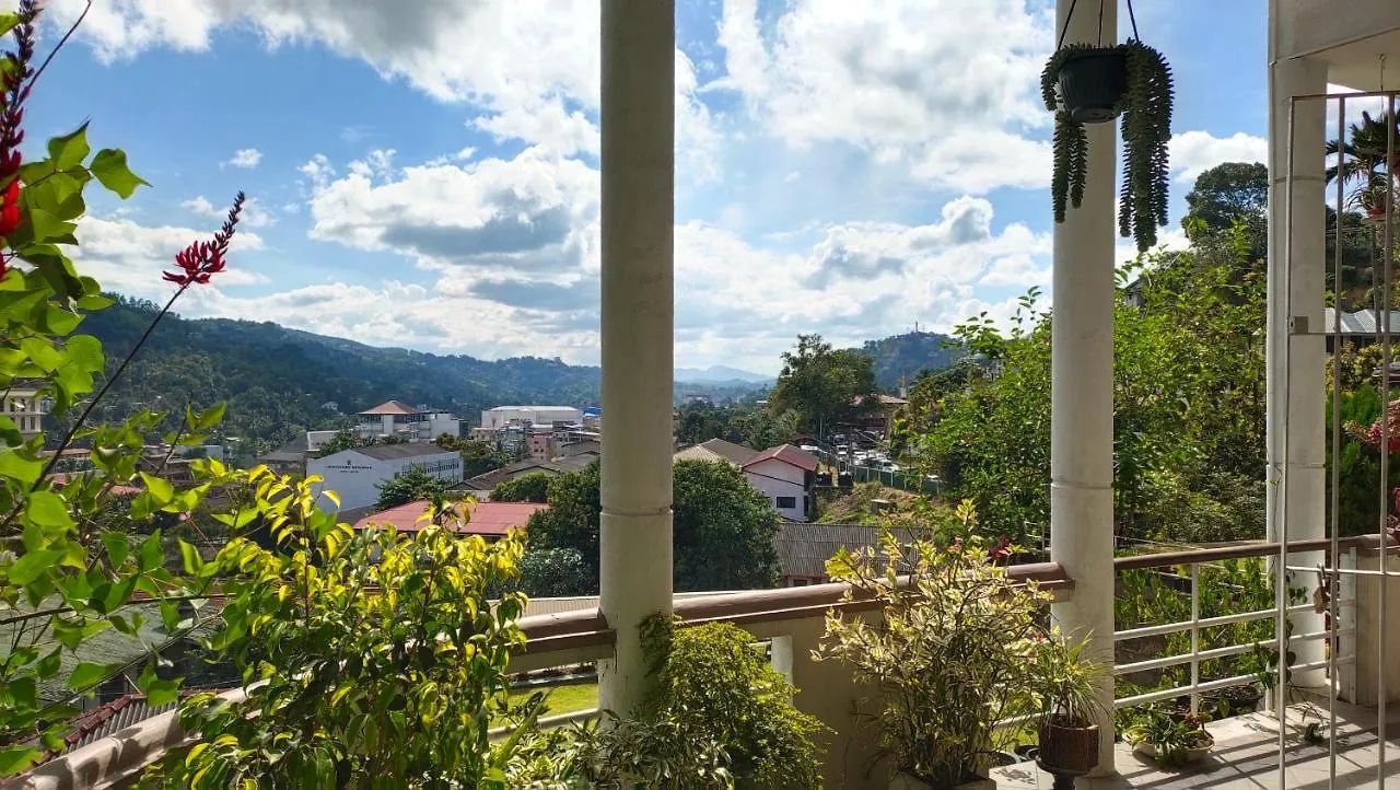Marvel Hills Kandy 0*,