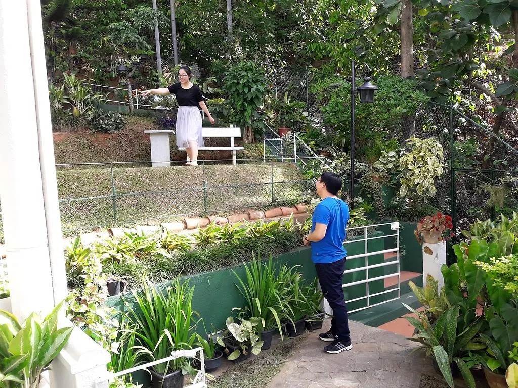 Marvel Hills Kandy 0*,
