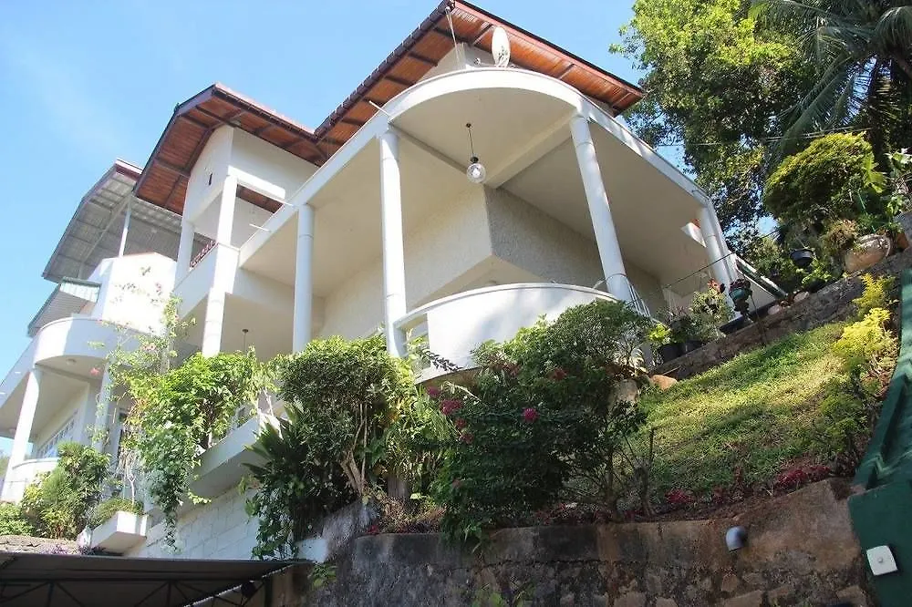Marvel Hills Kandy 0*,